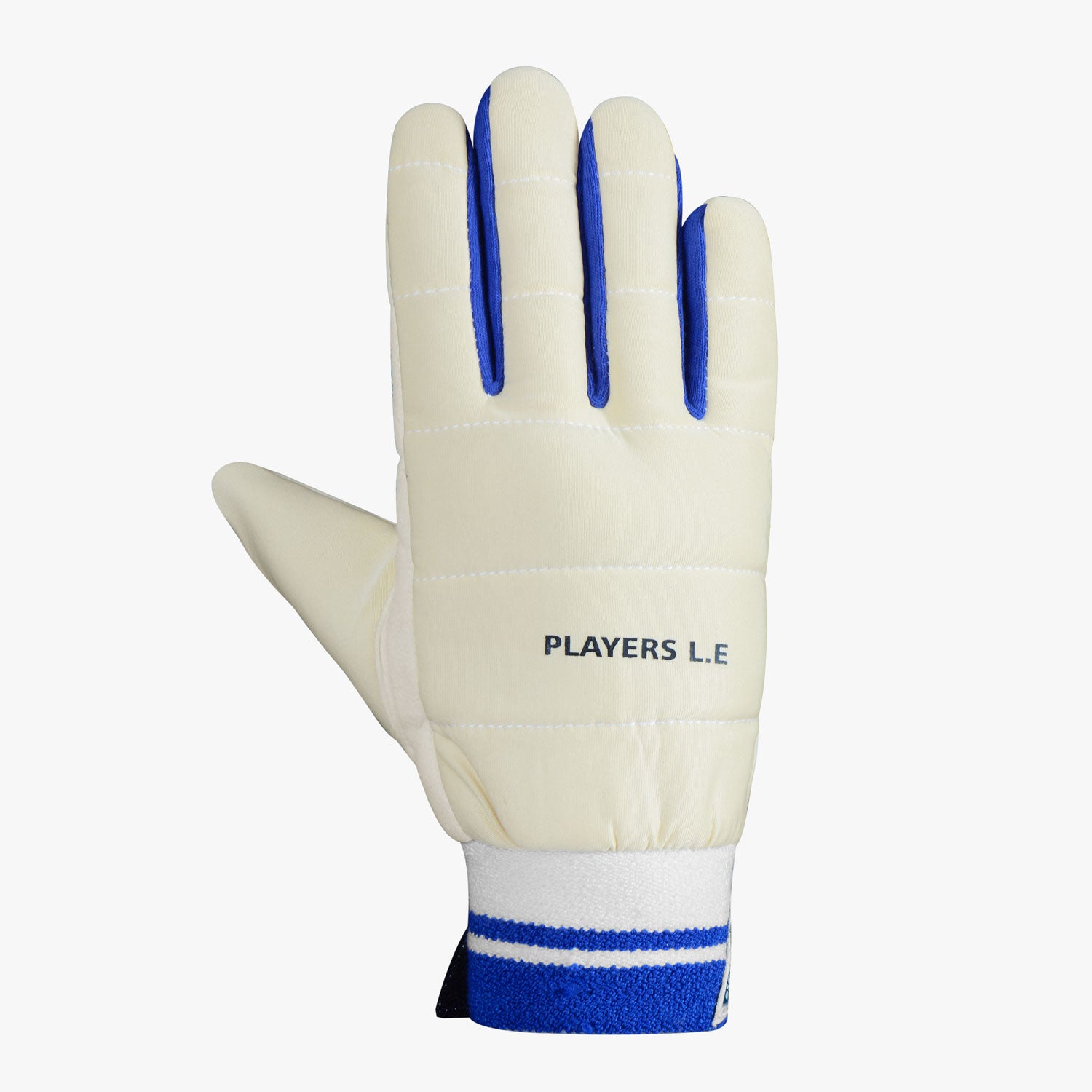 DSC  PLAYERS LIMITED EDITION WICKET KEEPING INNERS