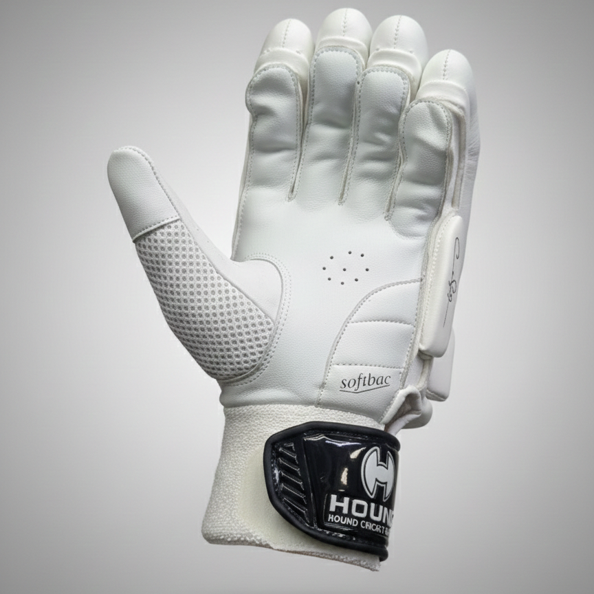 Hound 161 Not Out Batting Gloves