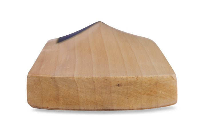 SG TRIPLE CROWN XTREME CRICKET BAT - 2025