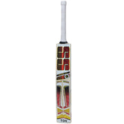 SS Master Kashmir Willow Cricket Bat - 2026