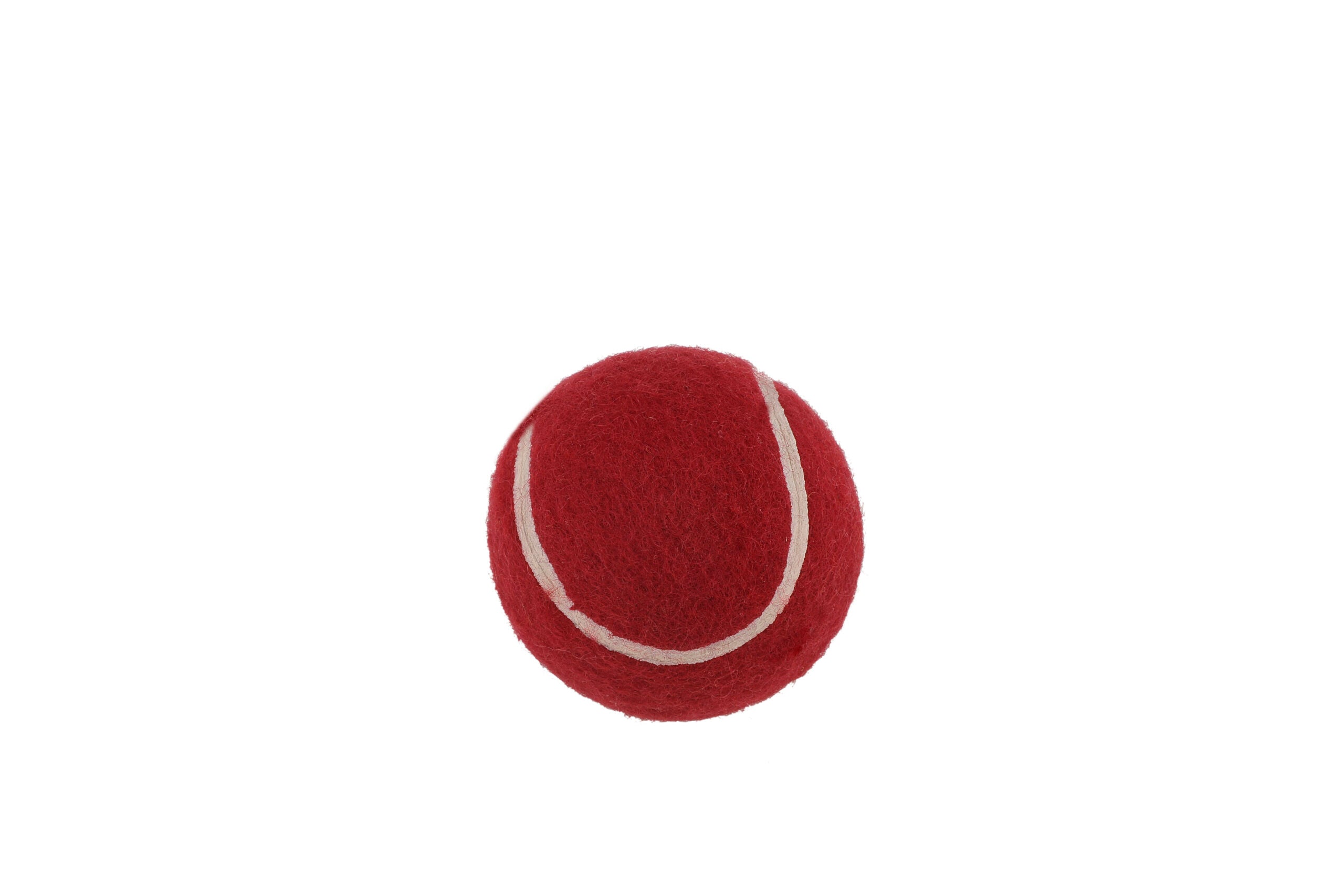 SS Mini Cricket Set