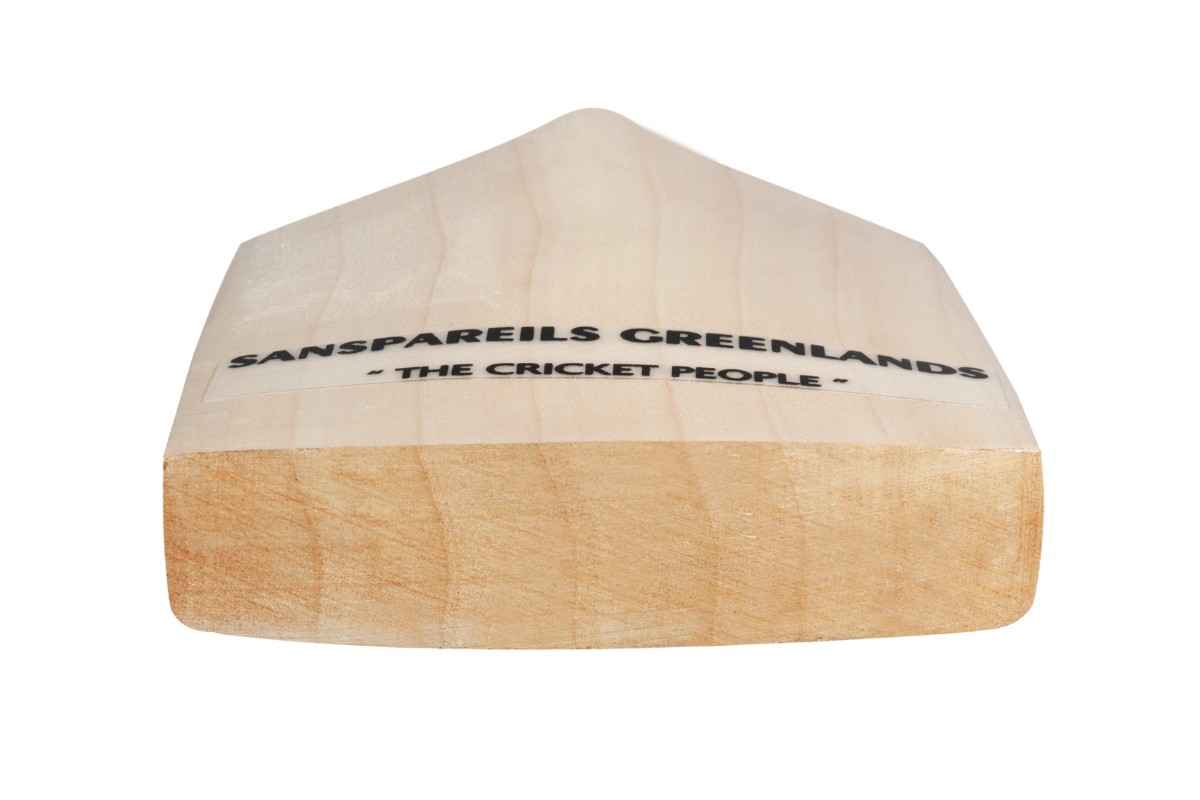 SG Arc 2.0 English Willow Cricket Bat