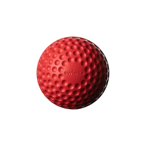 SWINGA Technique Ball