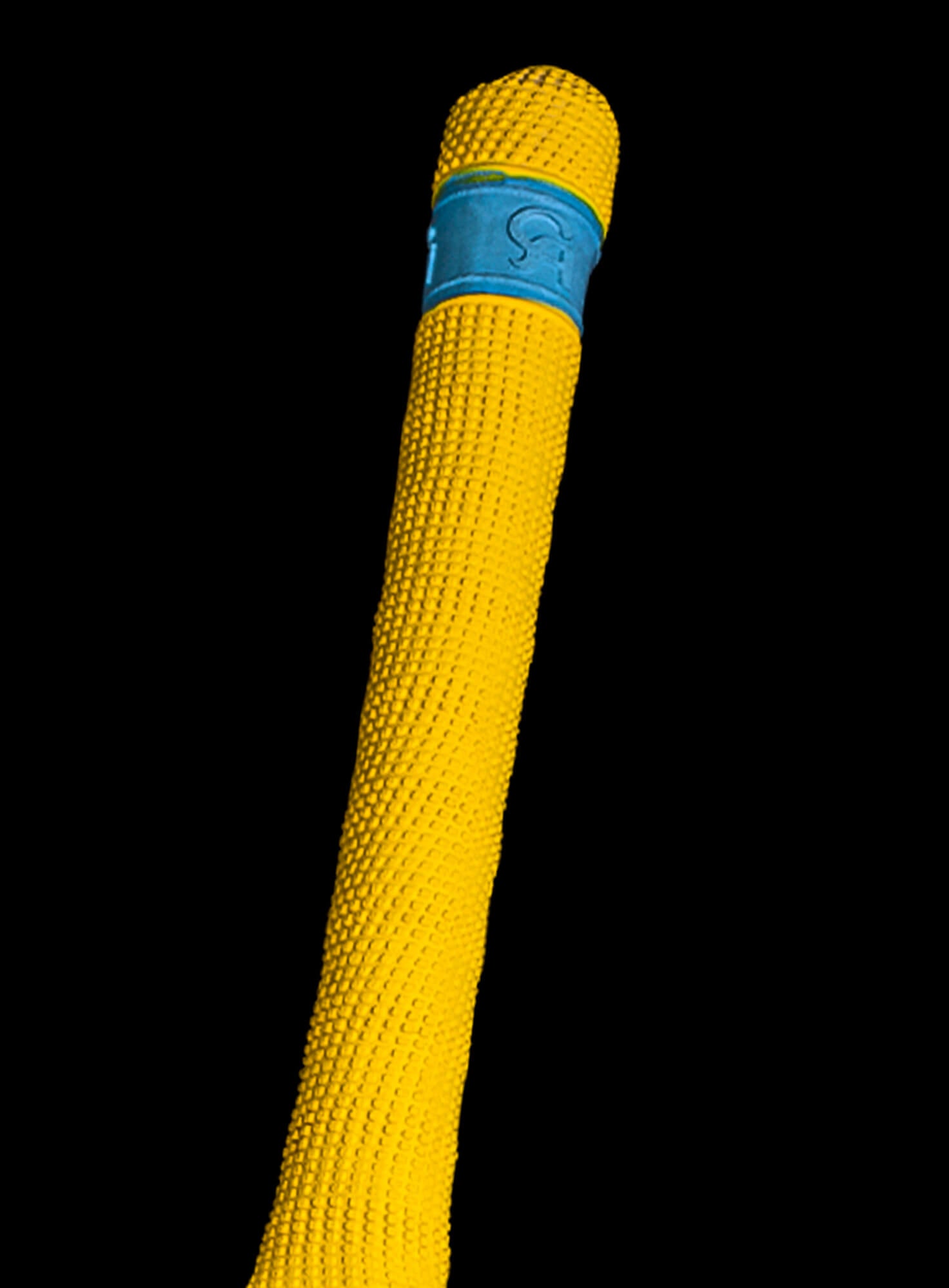 CA Gold 1000 English Willow Cricket Bat - 2025