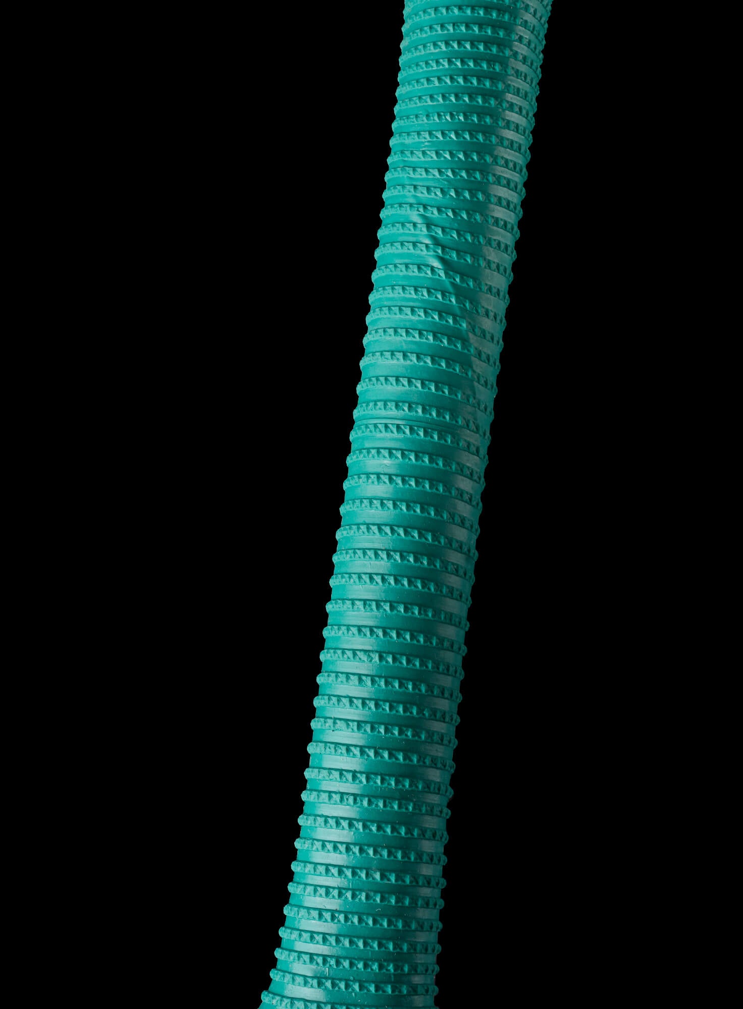 CA Gold 3000 English Willow Cricket Bat - 2025