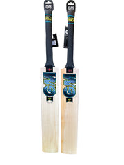 GM Aion DXM Signature English Willow Cricket Bat - 2025