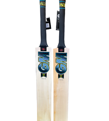 GM Aion DXM Signature English Willow Cricket Bat - 2025