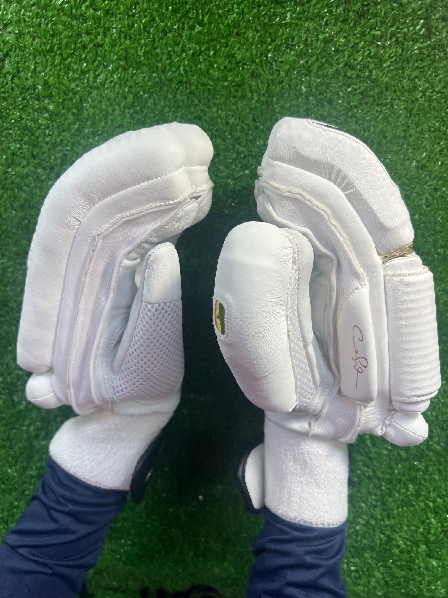 Hound T20 Batting Gloves