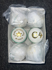 E4 White Cricket Ball - 2024