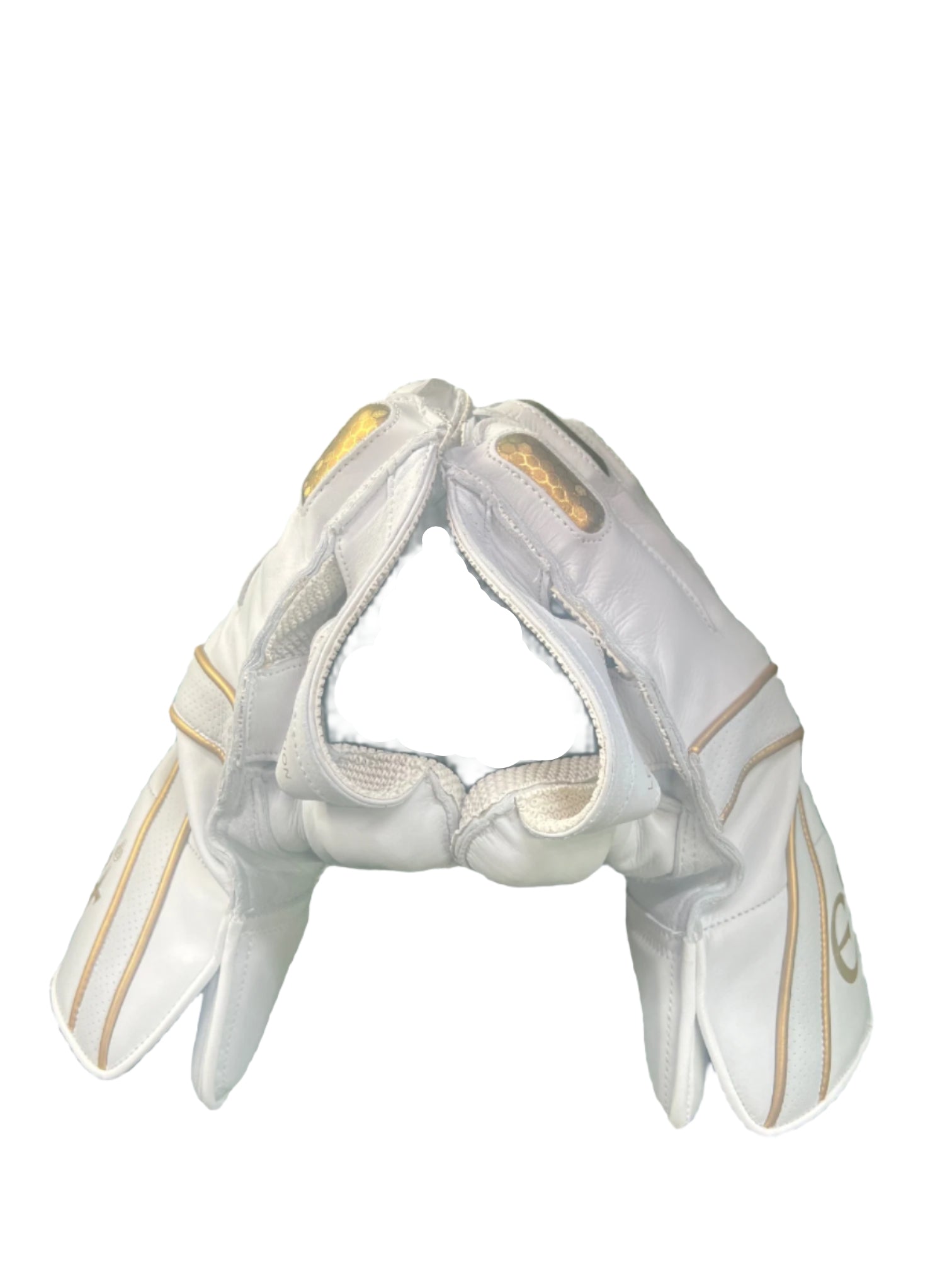 E4 Legend Wicket Keeping Gloves