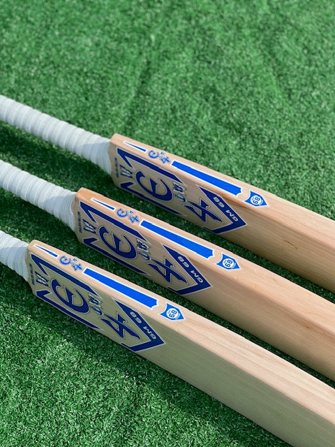 E4 Gudakesh Motie GM 68 Players Edition Bat - 2025