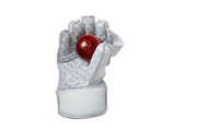 GM Original LE Wicket Keeping Gloves
