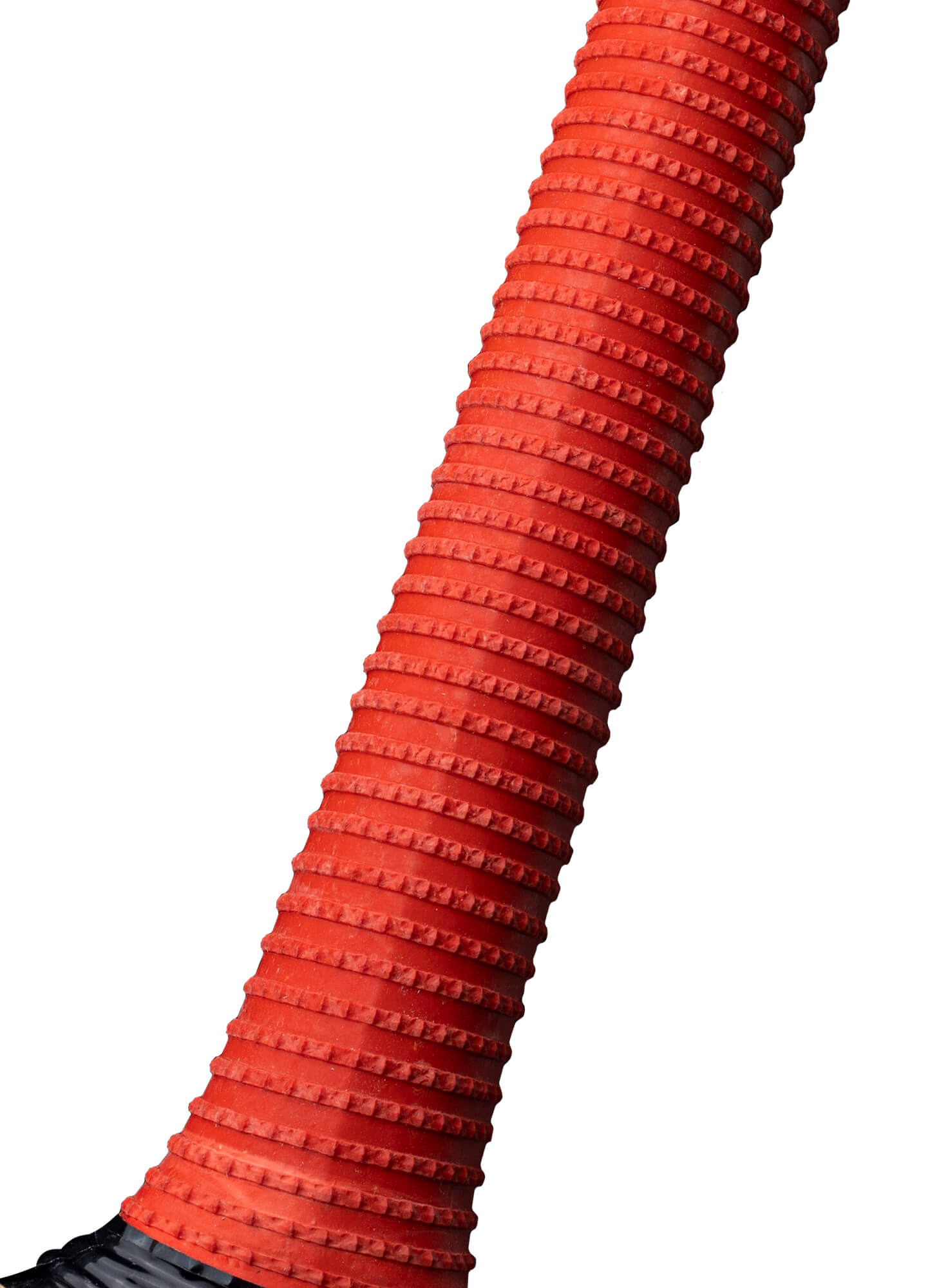 CA Pro 3000 English Willow Cricket Bat - 2025