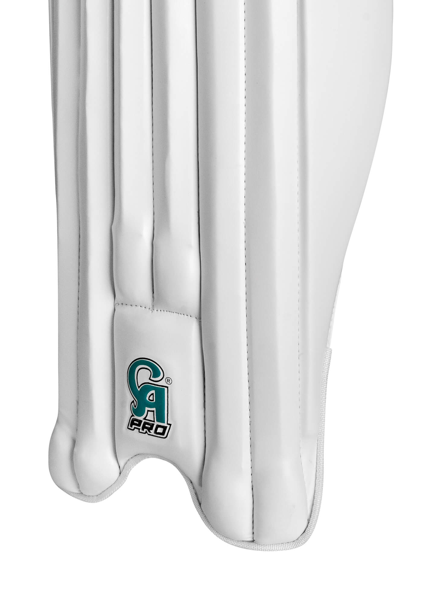 CA Pro 10000 Batting Pad - 2026