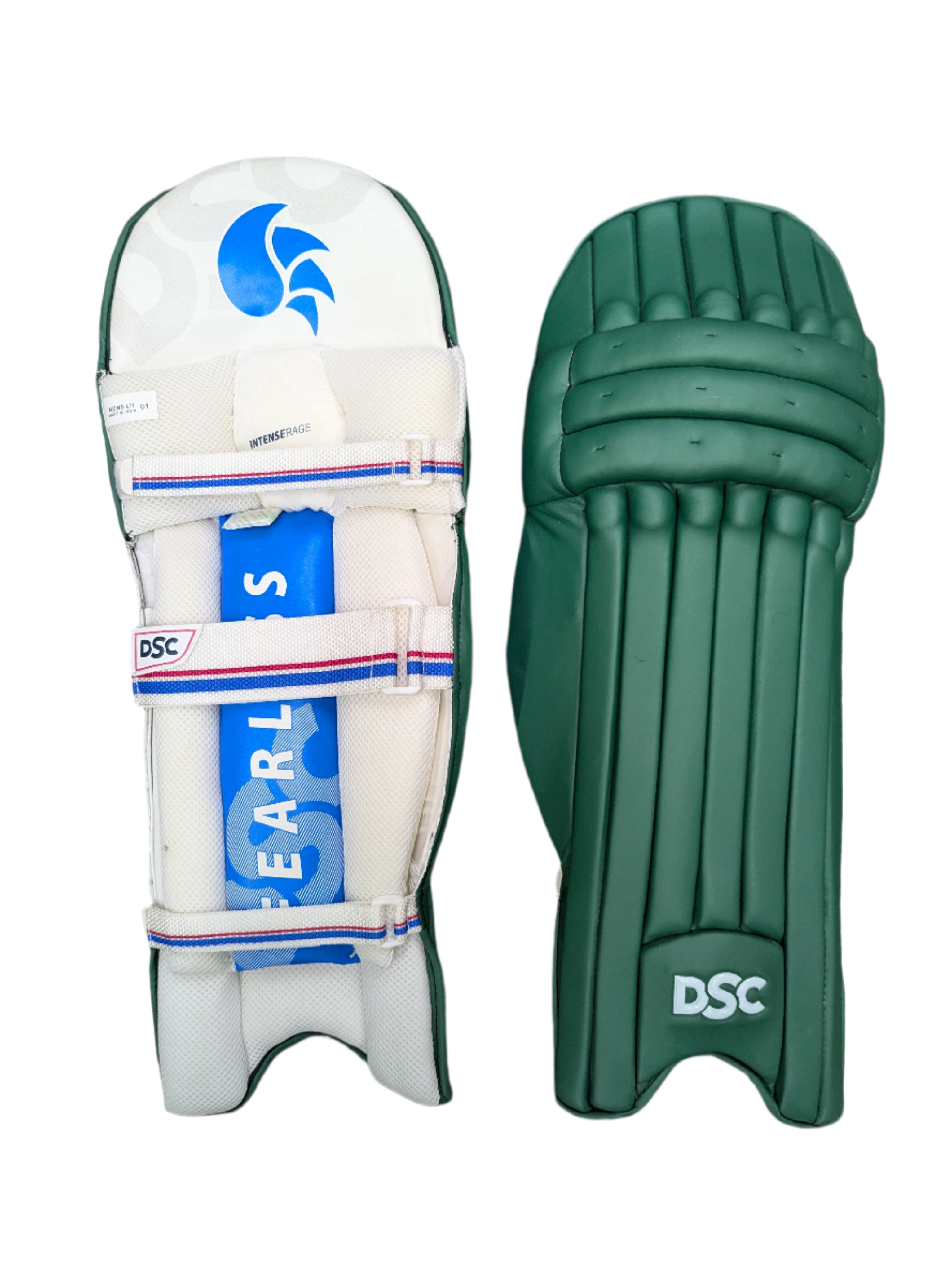 DSC INTENSE RAGE BATTING PAD GREEN