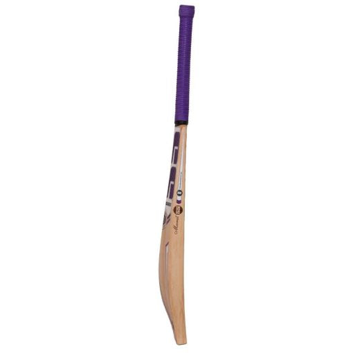 SS Blast English Willow Cricket Bat - 2025