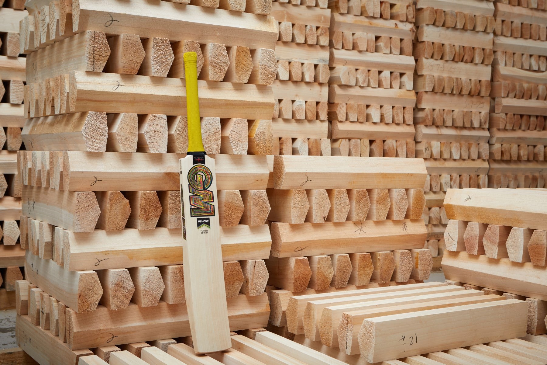 GM Ben Duckett Players Edition English Willow Bat - 2025