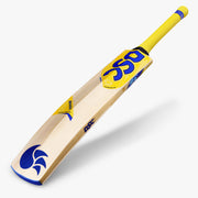 DSC Bravado 22 Kashmir Willow Cricket Bat - 2025