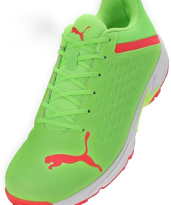 Puma Spike 22.2 Men's Cricket Shoes - Pro Green-Parakeet Green-Fire Orchid