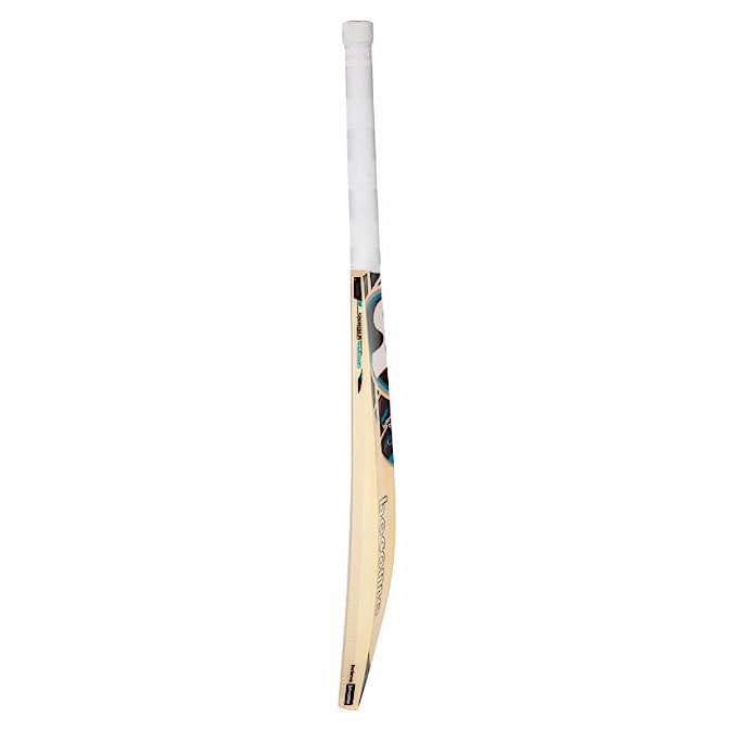 SG RSD Spark Kashmir Willow Cricket Bat - 2023