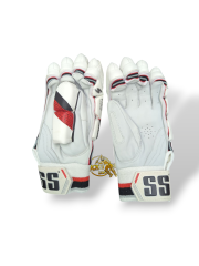 SS SUPER TEST BATTING GLOVES - 2025 – CricketZoneUSA