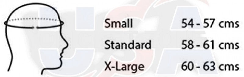 SHREY MASTER CLASS AIR 2.0 TITANIUM HELMET