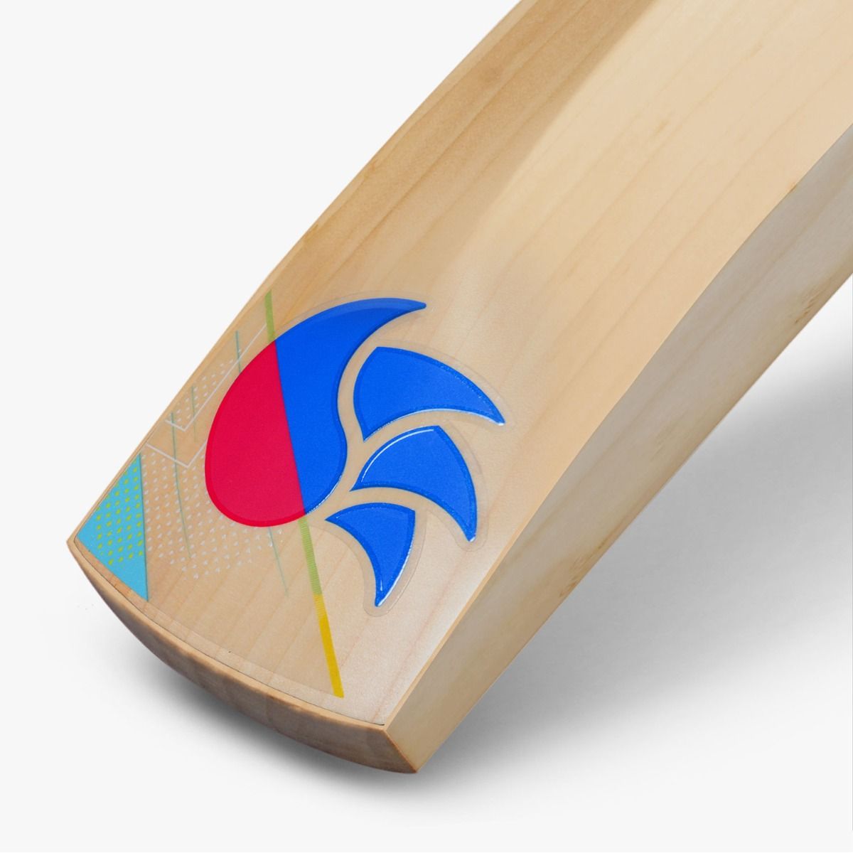 DSC INTENSE SPEED ENGLISH WILLOW CRICKET BAT