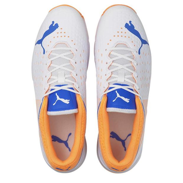 PUMA SPIKES 22.1 MEN'S CRICKET SHOES