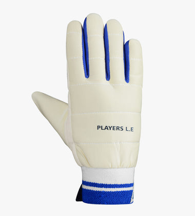 DSC  PLAYERS LIMITED EDITION WICKET KEEPING INNERS